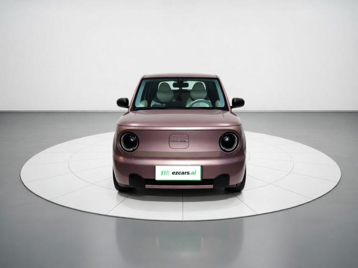2023 Panda mini 200km Endurance Bear photo 2