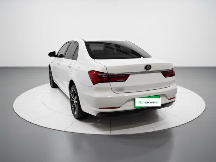 Qin 2019 1.5L AT Luxury photo 4