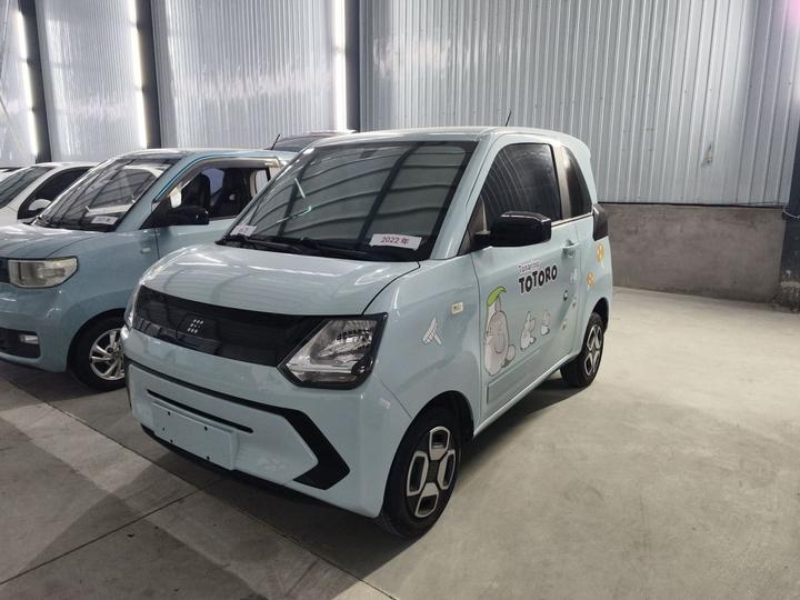 Fengon MINIEV 2022 Comfort