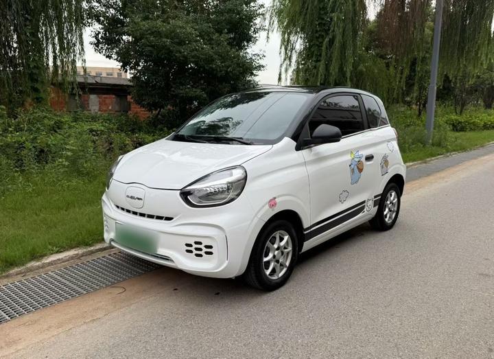 Clever R 2022 311km Yuan