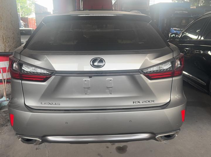 RX 2016 300 RWD Elite China V photo 2
