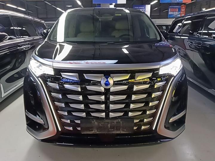 D9 2024 DM-i 980 AWD Noble photo 2