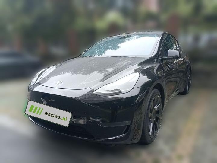 Model Y 2021 Standard Range RWD
