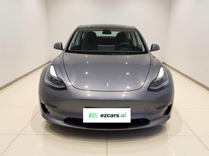 Model 3 2021 Performance AWD photo 2