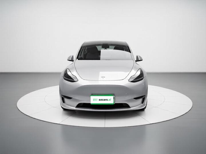 Model Y 2021 Long Range AWD 3D7 photo 2