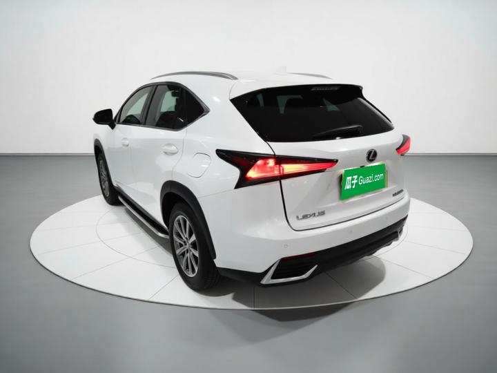 NX 2020 300h FWD China VI photo 4