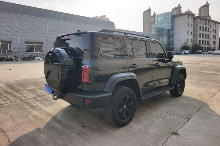 300 2021 Off-road 2.0T photo 3