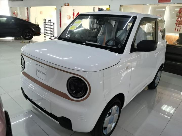 2024 Panda mini 200km Endurance Bear