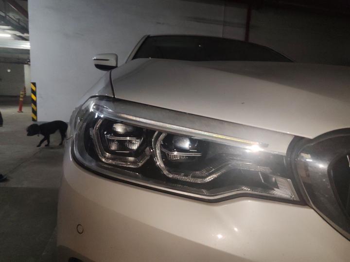 5 Series EV 2019 Facelift 530Le Luxury photo 7