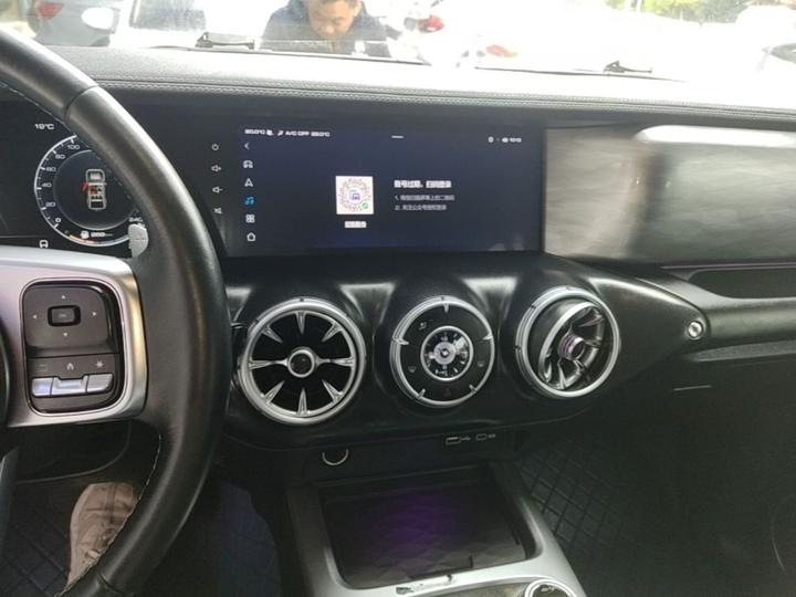 300 2021 Off-road 2.0T Conqueror photo 8
