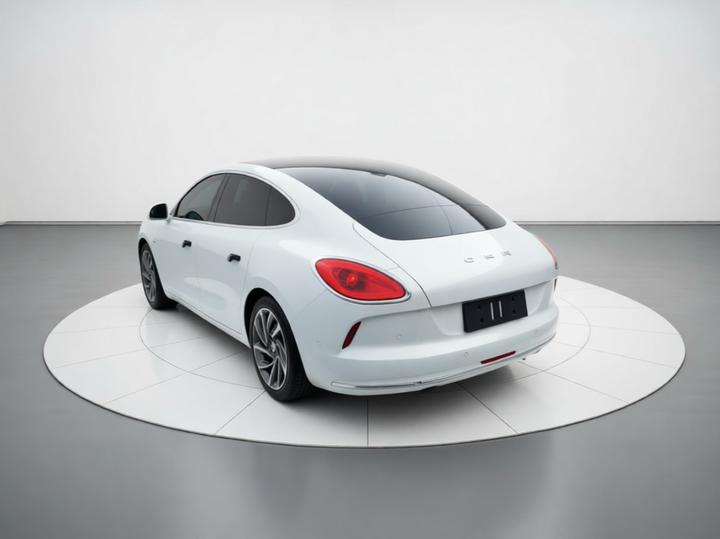 2022 555km Premium photo 4