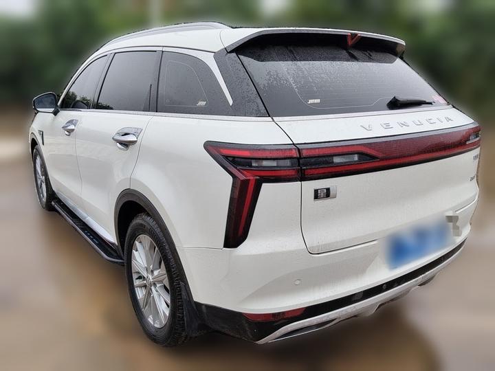 2021 260T AT 48V Mild Hybrid photo 4