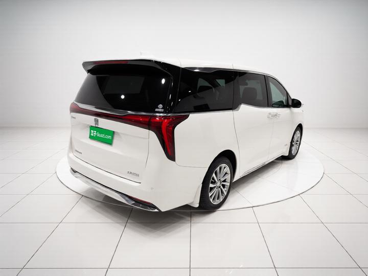2023 2.0T 6-Seater photo 6