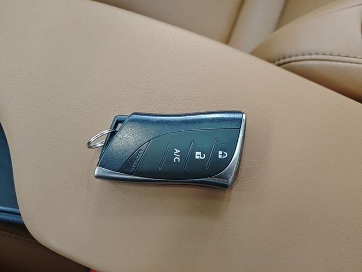 UX EV 2020 300e photo 8