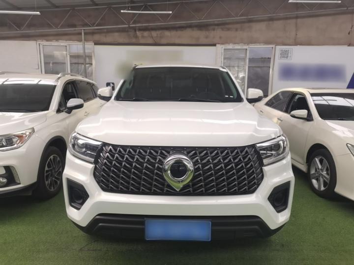 2023 2.0T AT Diesel AWD Elite GW4D20M photo 2