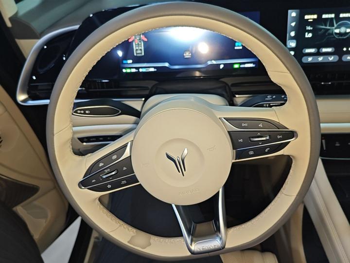Voyah Dreamer 2024 PHEV Extended Range Flagship photo 3
