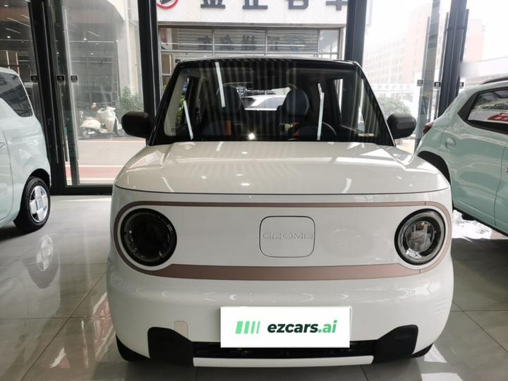 2023 Panda mini 200km Endurance Bear photo 2