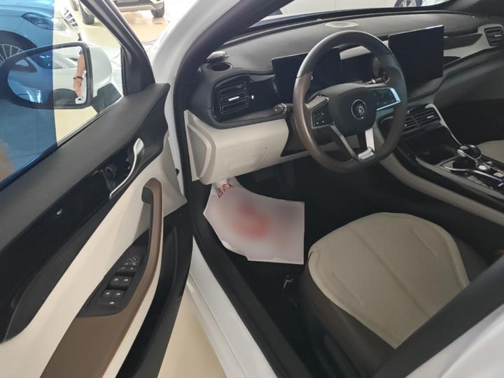 Qin PLUS 2024 Honor DM-i 55KM Leading photo 8