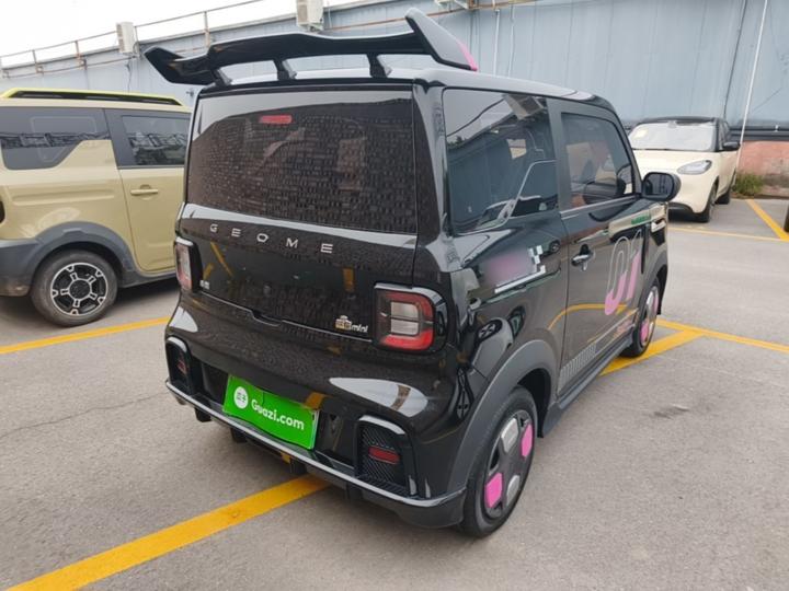 2025 210km Panda photo 4