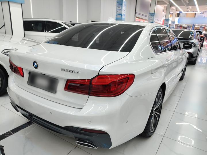 5 Series 2020 530Li Leading M Sport Package photo 4