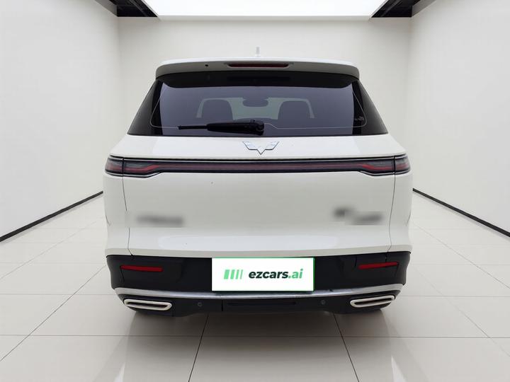 Wuling 2023 2.0L DHT Standard photo 5