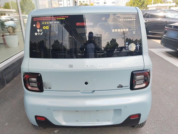 2023 Panda mini 200km Endurance Bear photo 3