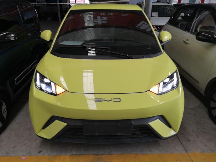 Seagull 2024 Honor 305km photo 2