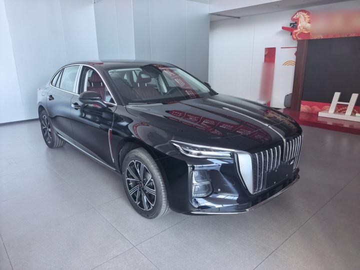 H5 PHEV 2025 130 photo 4