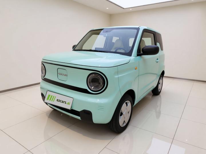 2024 Panda mini 200km Endurance Bear