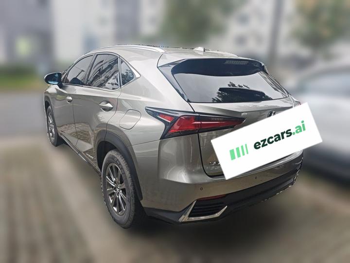 NX 2020 300h FWD China VI photo 4