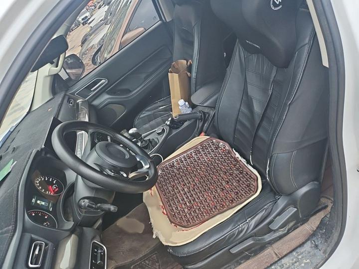 2023 2.0T MT Petrol AWD Elite GW4C20B photo 7