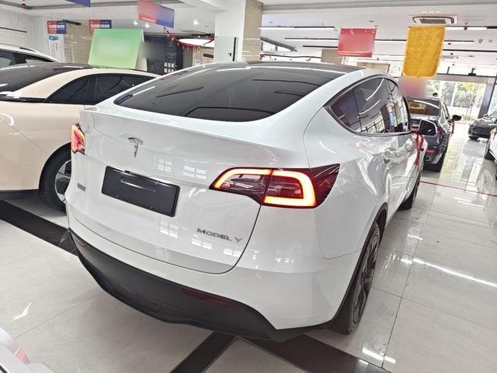 Model Y 2024 RWD photo 6