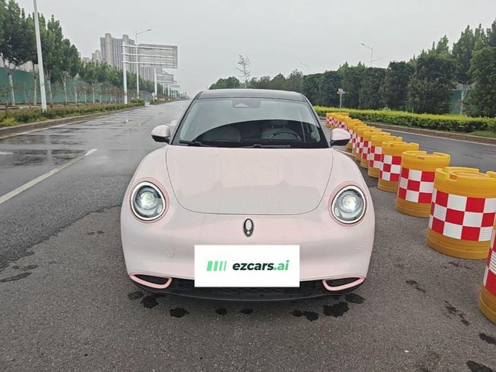 Good Cat 2023 401km Standard Range Noble LFP photo 2