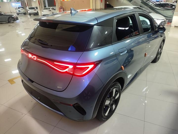 Dolphin 2025 ADAS 410km Fashion photo 6