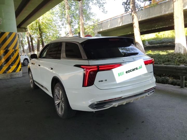 E-HS9 2021 460km 6-Seater photo 4