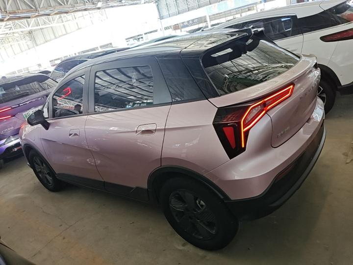E Firefly 2022 401KM 4-Seater photo 4