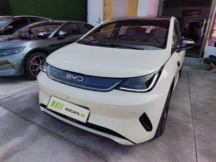 Dolphin 2025 ADAS 520km