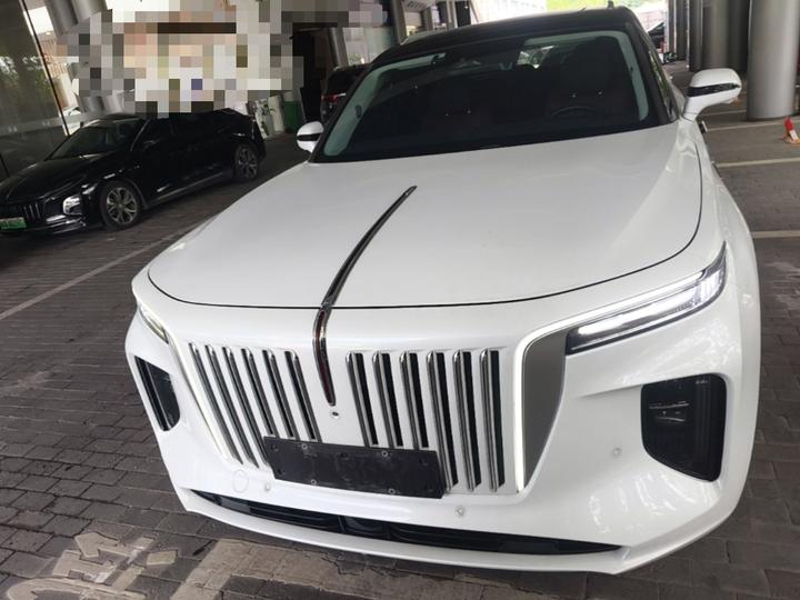 E-HS9 2022 660km 6-Seater photo 2