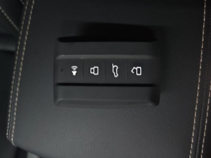 300 2024 2.0T Conqueror photo 8