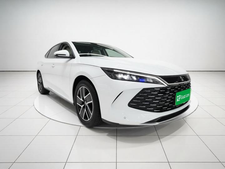 Qin L 2024 DM-i 80KM photo 3