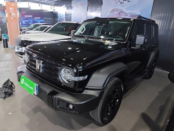 300 2024 2.0T Conqueror