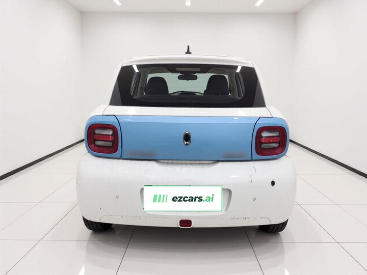 2019 301km Standard photo 5