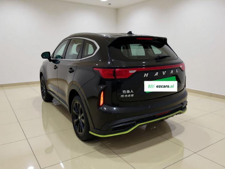 2022 Energetic 1.5T photo 4