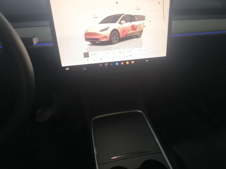 Model Y 2024 RWD photo 8
