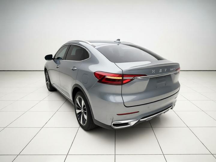 F7x 2019 2.0T RWD photo 4