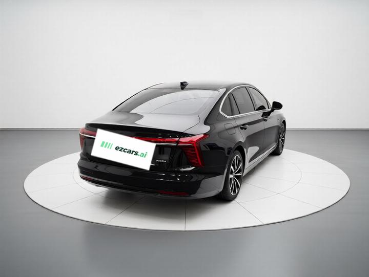 H5 PHEV 2025 130 photo 5
