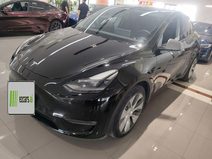 Model Y 2021 Standard Range RWD