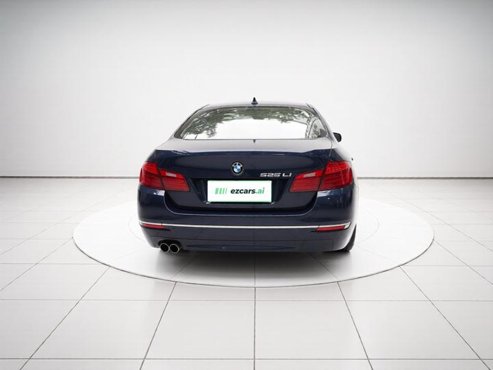 5 Series 2017 525Li Luxury Design Package photo 3