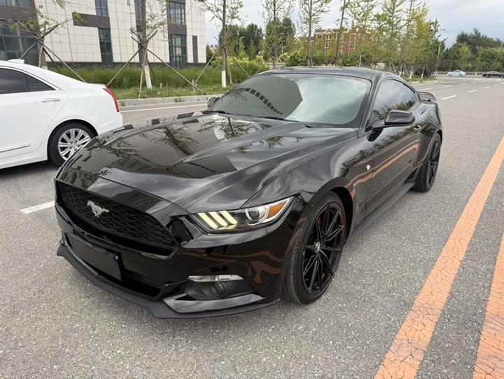 Mustang Parallel Import