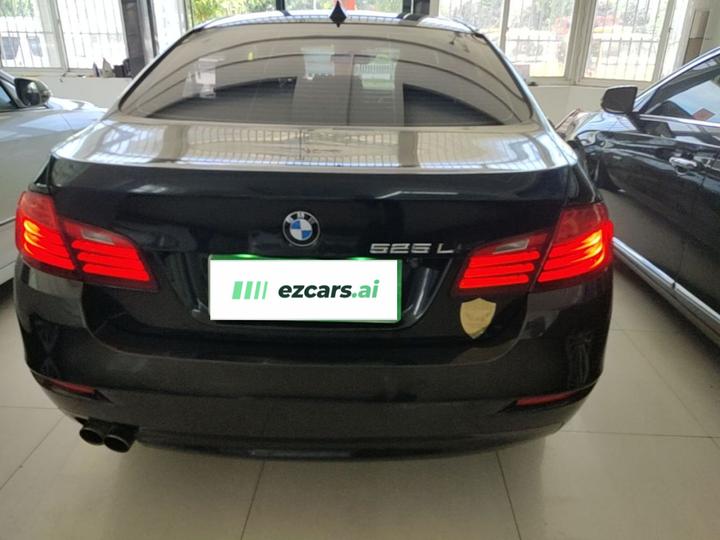 5 Series 2014 520Li photo 3